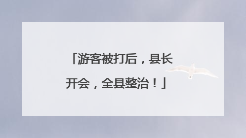 游客被打后，县长开会，全县整治！