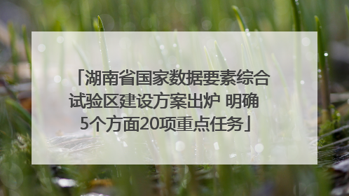 湖南省国家数据要素综合试验区建设方案出炉 明确5个方面20项重点任务