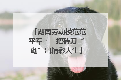 湖南劳动模范范平军：一把砖刀“砌”出精彩人生