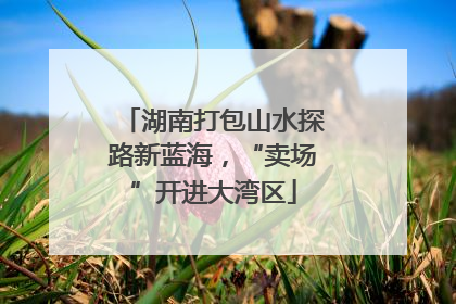 湖南打包山水探路新蓝海，“卖场”开进大湾区