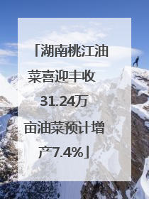 湖南桃江油菜喜迎丰收 31.24万亩油菜预计增产7.4%