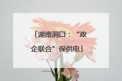 湖南洞口：“政企联合”保供电