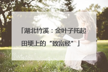 湖北竹溪：金叶子托起田埂上的“致富经”