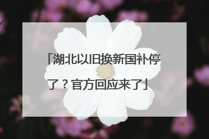 湖北以旧换新国补停了？官方回应来了