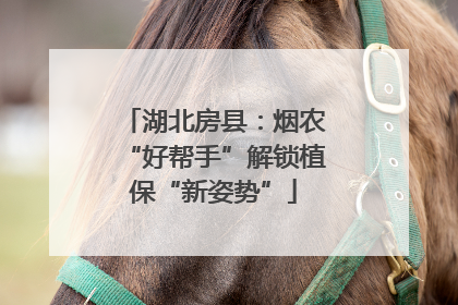 湖北房县：烟农“好帮手”解锁植保“新姿势”