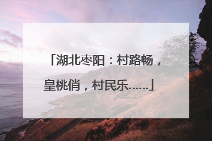 湖北枣阳：村路畅，皇桃俏，村民乐……