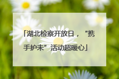 湖北检察开放日，“携手护未”活动超暖心