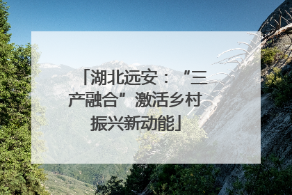 湖北远安：“三产融合”激活乡村振兴新动能