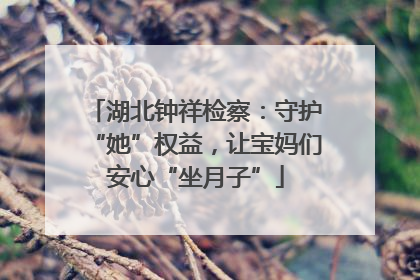湖北钟祥检察：守护“她”权益，让宝妈们安心“坐月子”