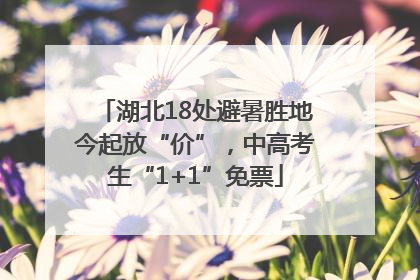 湖北18处避暑胜地今起放“价”，中高考生“1+1”免票