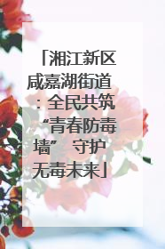 湘江新区咸嘉湖街道：全民共筑“青春防毒墙” 守护无毒未来