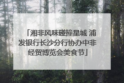 湘非风味碰撞星城 浦发银行长沙分行协办中非经贸博览会美食节