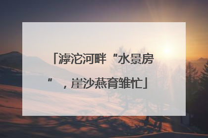 滹沱河畔“水景房”，崖沙燕育雏忙