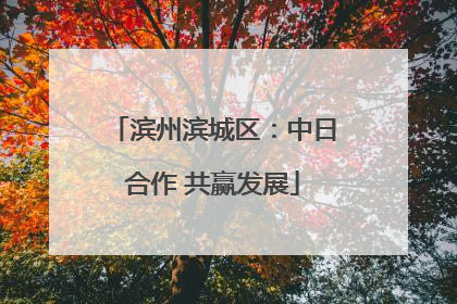 滨州滨城区：中日合作 共赢发展
