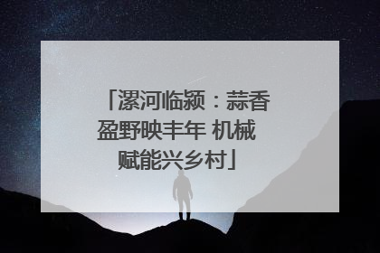 漯河临颍：蒜香盈野映丰年 机械赋能兴乡村