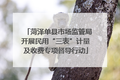 菏泽单县市场监管局开展民用“三表”计量及收费专项督导行动