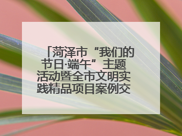 菏泽市“我们的节日·端午”主题活动暨全市文明实践精品项目案例交流活动举办