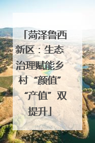 菏泽鲁西新区：生态治理赋能乡村“颜值”“产值”双提升