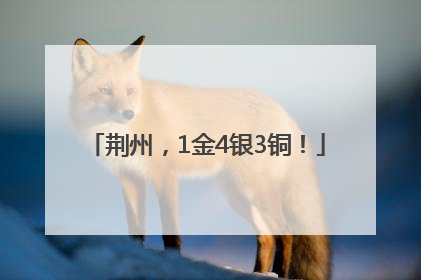 荆州，1金4银3铜！