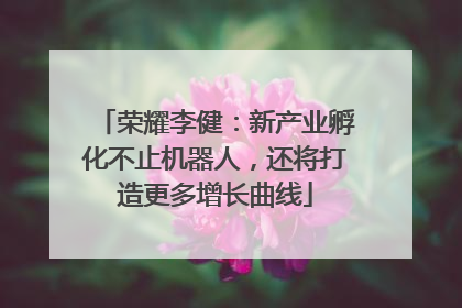荣耀李健：新产业孵化不止机器人，还将打造更多增长曲线