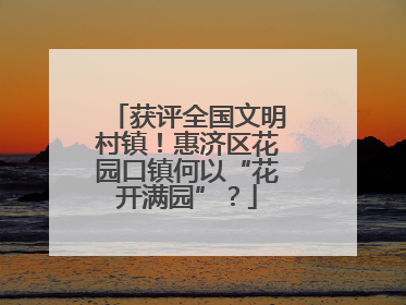 获评全国文明村镇！惠济区花园口镇何以“花开满园”？