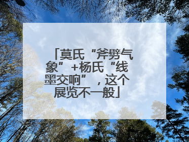 莫氏“斧劈气象”+杨氏“线墨交响”，这个展览不一般