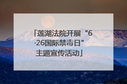 莲湖法院开展“6·26国际禁毒日”主题宣传活动