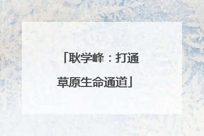 耿学峰：打通草原生命通道