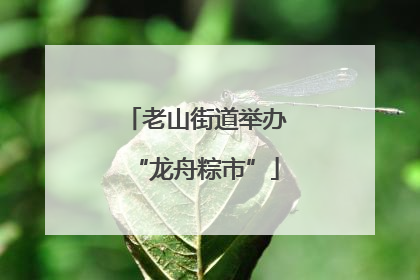 老山街道举办“龙舟粽市”