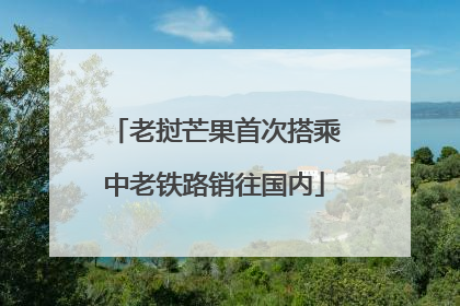 老挝芒果首次搭乘中老铁路销往国内