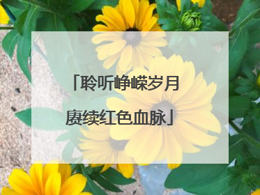 聆听峥嵘岁月 赓续红色血脉