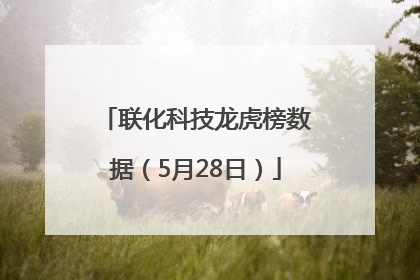 联化科技龙虎榜数据（5月28日）