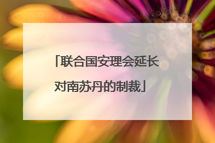 联合国安理会延长对南苏丹的制裁