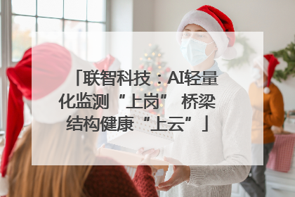 联智科技：AI轻量化监测“上岗” 桥梁结构健康“上云”