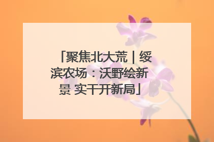 聚焦北大荒｜绥滨农场：沃野绘新景 实干开新局