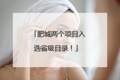 肥城两个项目入选省级目录！