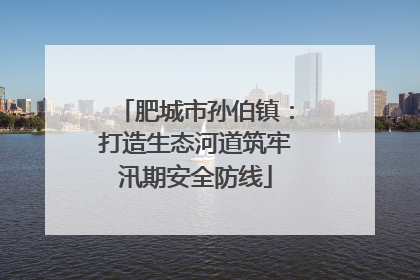 肥城市孙伯镇：打造生态河道筑牢汛期安全防线