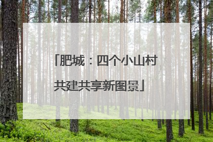肥城：四个小山村共建共享新图景
