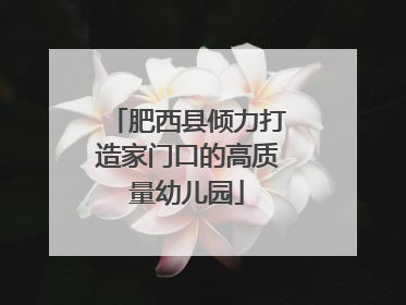 肥西县倾力打造家门口的高质量幼儿园