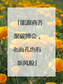 能源商齐聚碳博会，老面孔也有新风貌