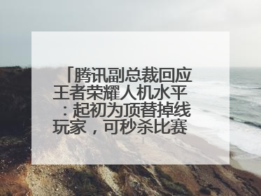 腾讯副总裁回应王者荣耀人机水平：起初为顶替掉线玩家，可秒杀比赛级玩家