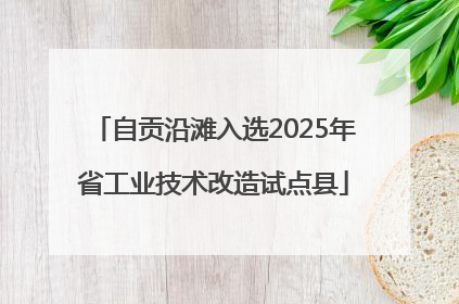 自贡沿滩入选2025年省工业技术改造试点县