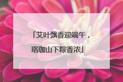 艾叶飘香迎端午，珞珈山下粽香浓