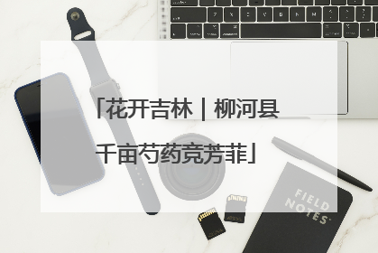 花开吉林｜柳河县千亩芍药竞芳菲