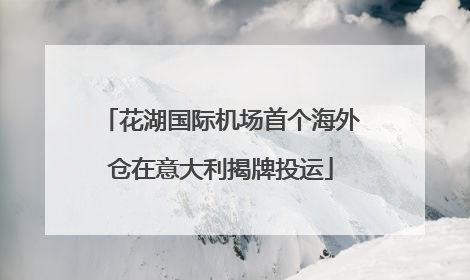 花湖国际机场首个海外仓在意大利揭牌投运