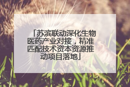 苏滨联动深化生物医药产业对接，精准匹配技术资本资源推动项目落地