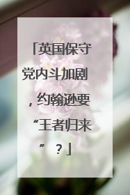 英国保守党内斗加剧，约翰逊要“王者归来”？