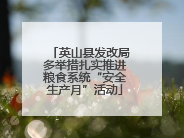 英山县发改局多举措扎实推进粮食系统“安全生产月”活动