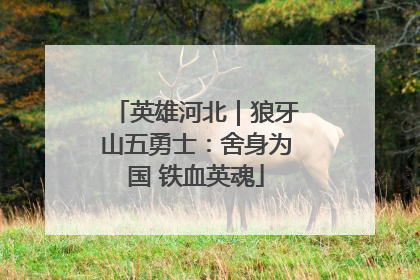 英雄河北｜狼牙山五勇士：舍身为国 铁血英魂