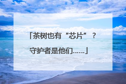 茶树也有“芯片”？守护者是他们……